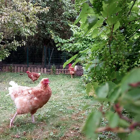 Hébergement de vacances Au Chant Du Coq *