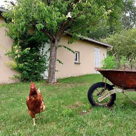 Au Chant Du Coq 度假居 *